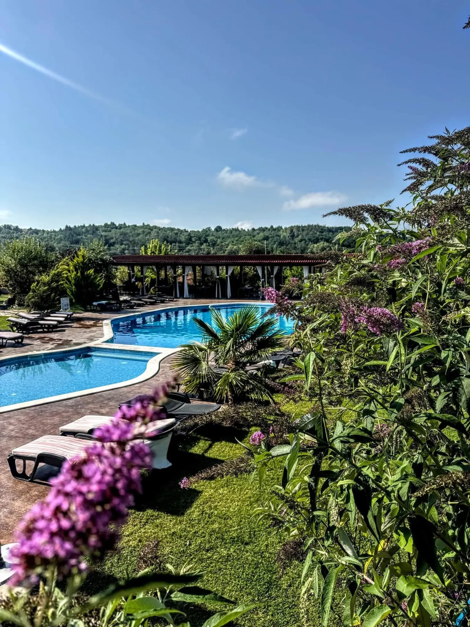 The lawn and the outdoor pool in the gardens of Bozhe Ime Spa & Park
