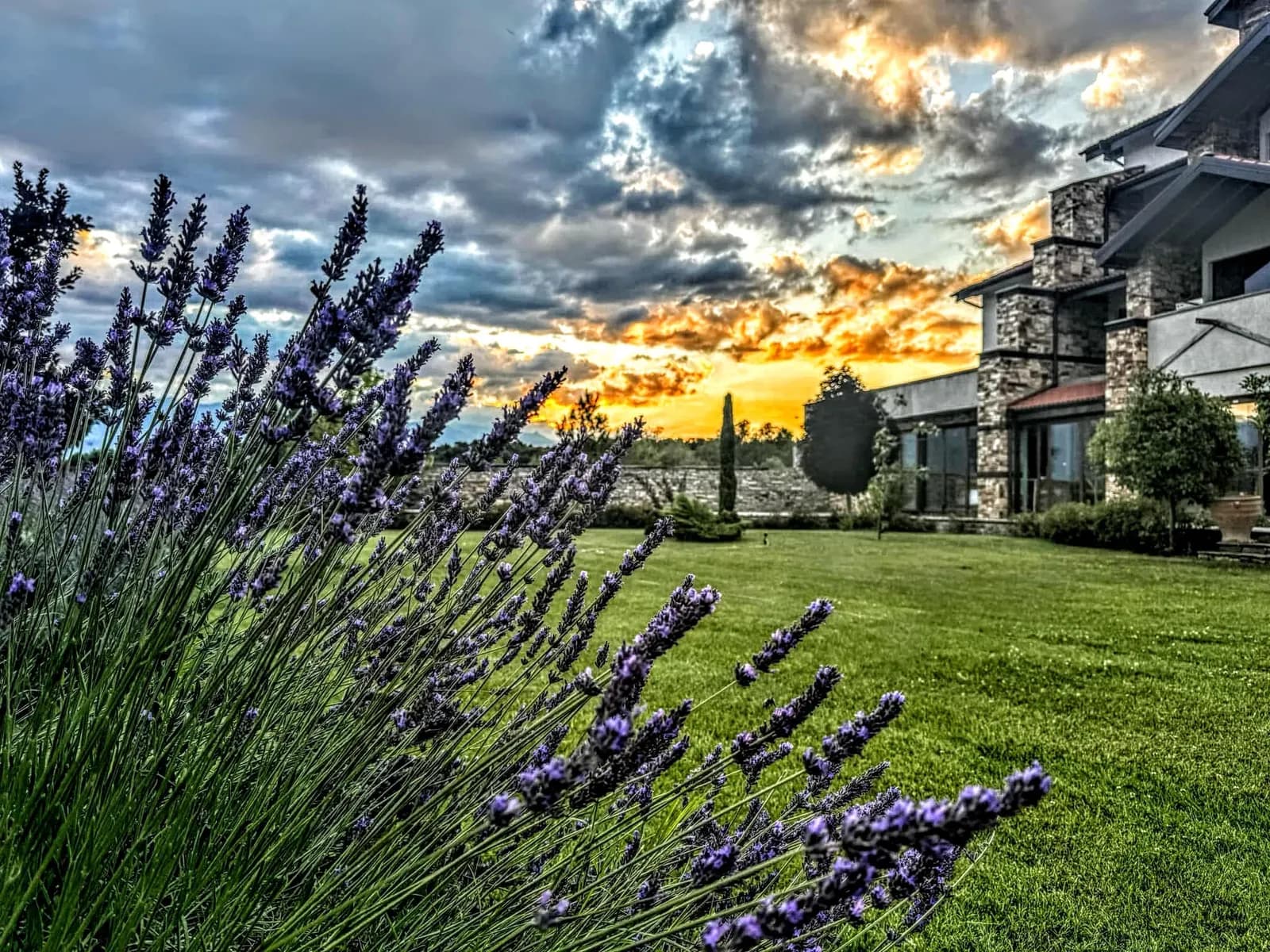 Лавандула на залез в градините на Боже Име Spa & Park