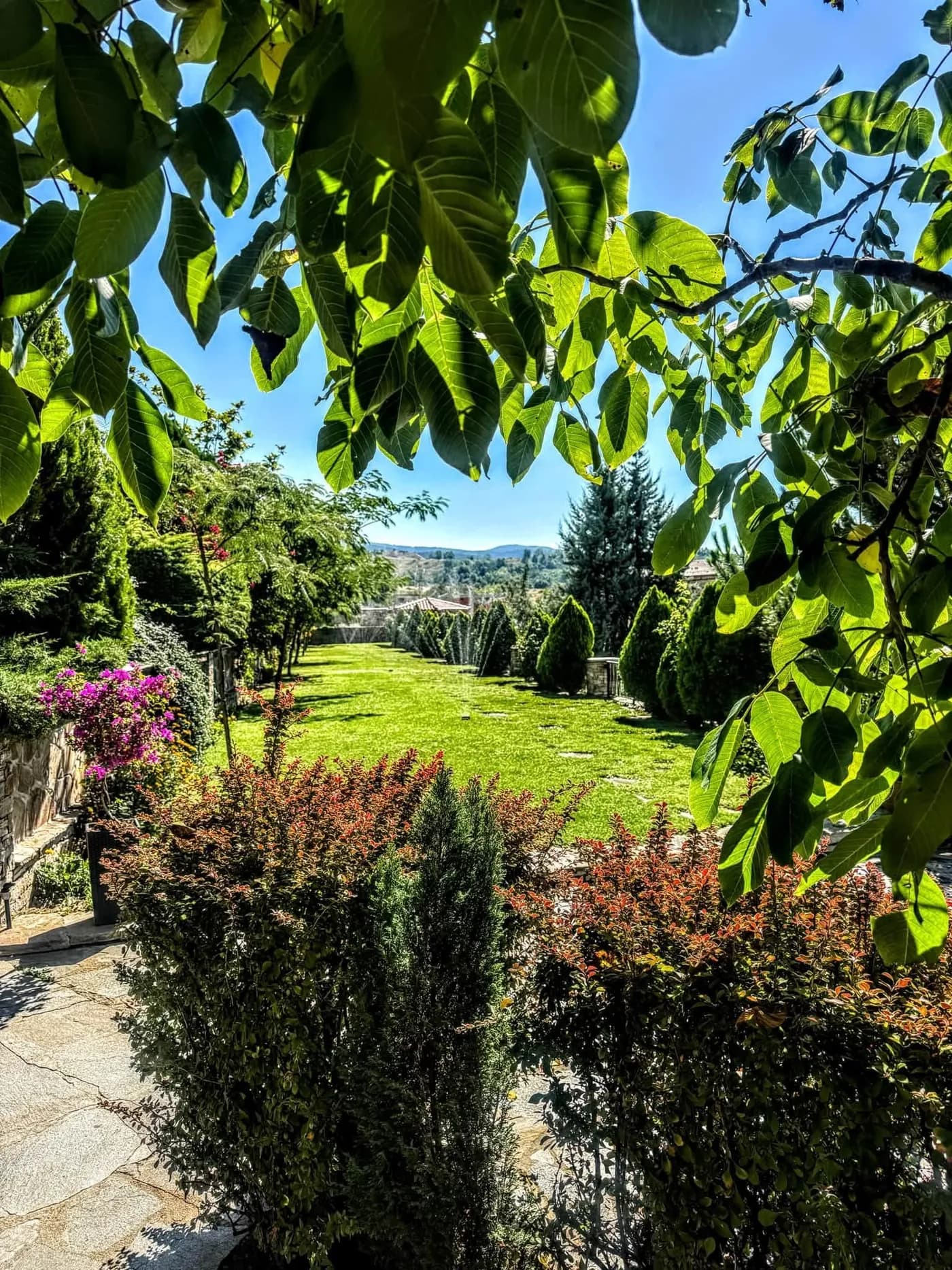 Моравата и външният басейн в градините на Боже Име Spa & Park