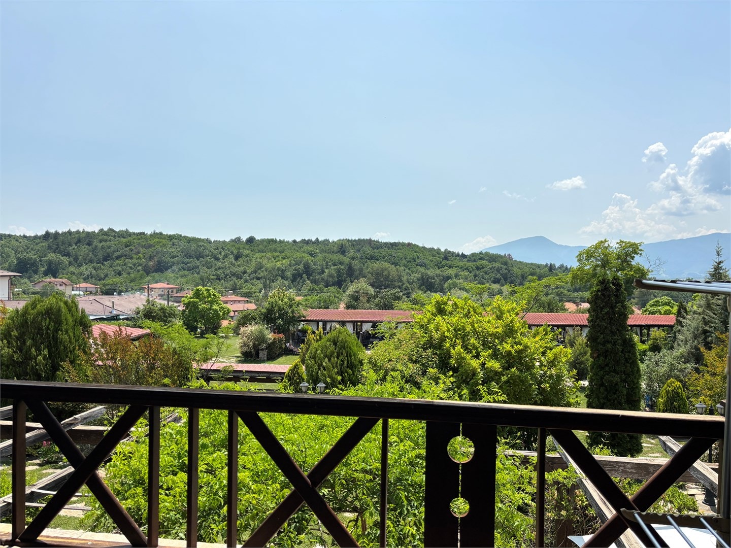 Делукс Парк Стая
